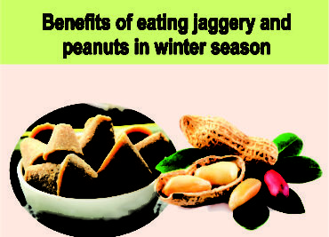 Benefits of eating jaggery and peanuts in winter season