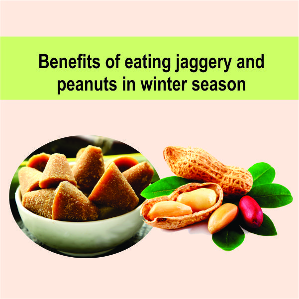 Benefits of eating jaggery and peanuts in winter season
