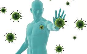 Increase in Immunity