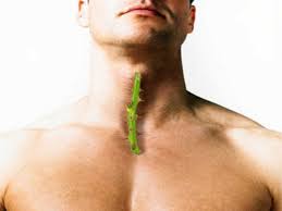 Honey for treats cough and throat infection