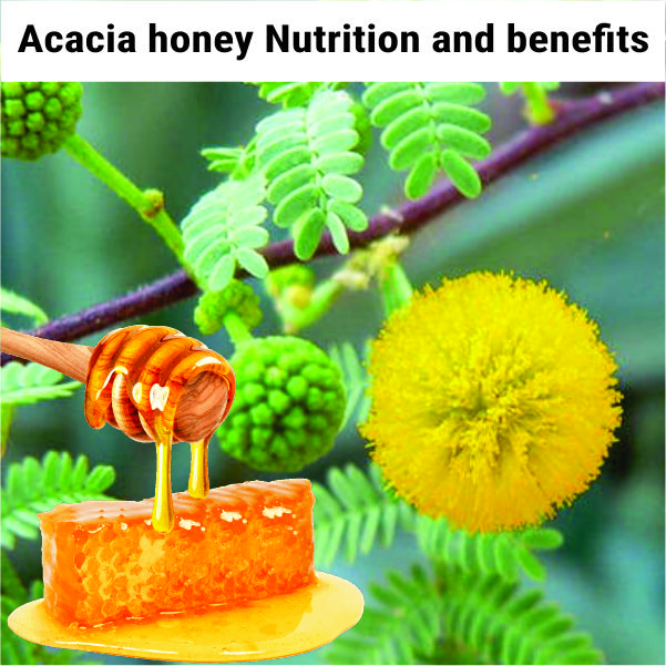 Acacia honey: Nutrition and benefits