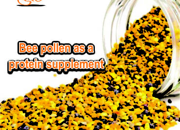 Bee pollen as protein supplement