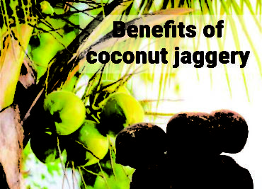 Coconut/palm jaggery