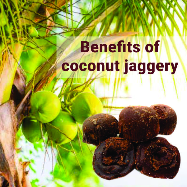 Coconut/palm jaggery
