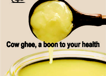 Vedic Ghee