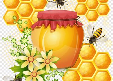 The untold story of Natural honey